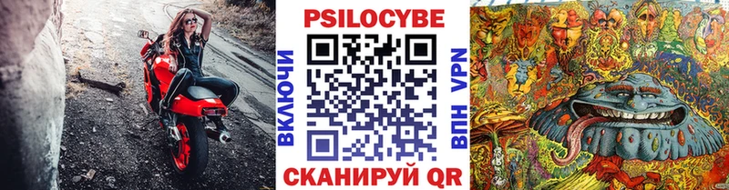 Галлюциногенные грибы GOLDEN TEACHER  купить закладку  Балтийск 