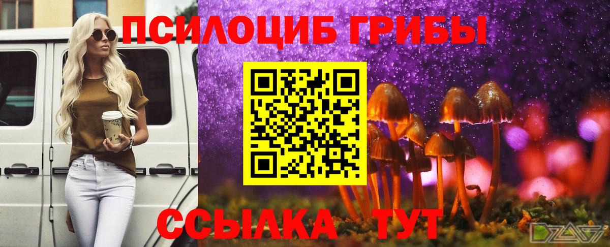 продажа наркотиков  Балтийск  Галлюциногенные грибы MAGIC MUSHROOMS 