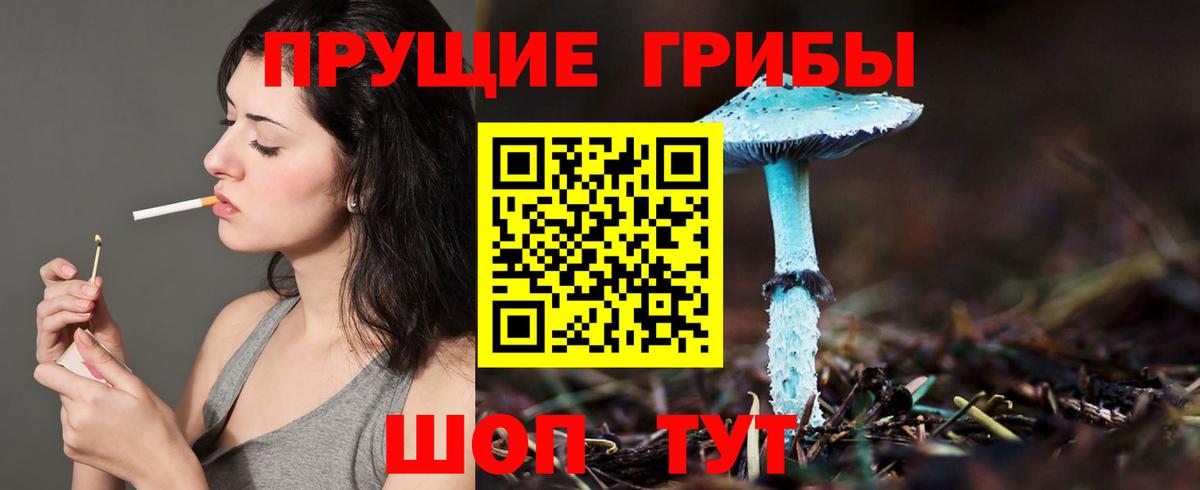 Псилоцибиновые грибы прущие грибы Балтийск